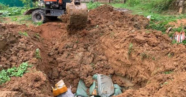 Quảng Ninh: Bắt giữ gần 2,7 tấn nầm lợn đông lạnh không rõ nguồn gốc