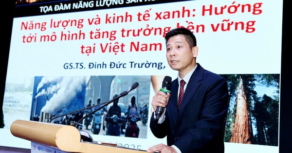 GS.TS Đinh Đức Trường: "Một đôi giày Nike giá 200 USD nhưng Việt Nam chỉ thu về khoảng 15 USD, trong khi phải gánh chịu chi phí môi trường rất lớn"