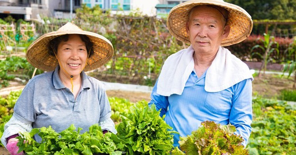 2 loại rau người Nhật xem như "thuốc tiên": Ở chợ Việt bán đầy, giá rẻ không tưởng