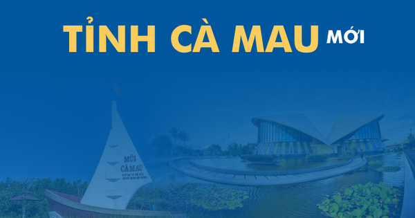 Toàn cảnh xã, phường, diện tích của tỉnh Cà Mau mới