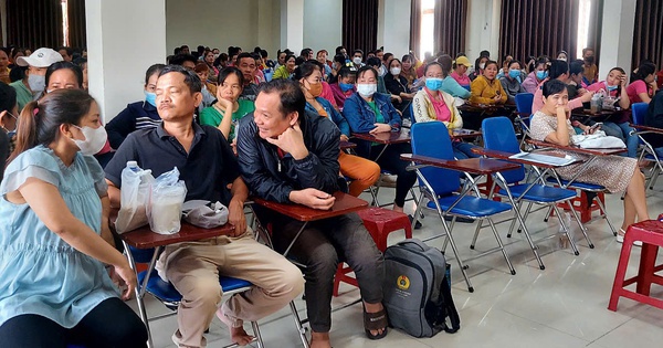 Không khắc phục nợ BHXH, BHYT trước ngày 30-6, doanh nghiệp sẽ bị chế tài nặng