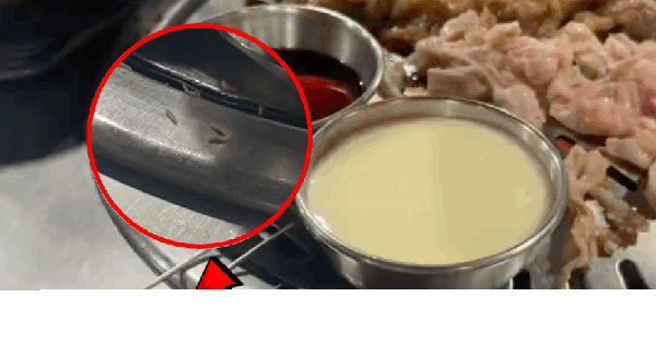 16,5 triệu dân mạng "hú hồn" trước cảnh cả đàn dòi bò trên bàn ăn thịt nướng, nhìn đĩa kim chi càng sốc hơn nữa
