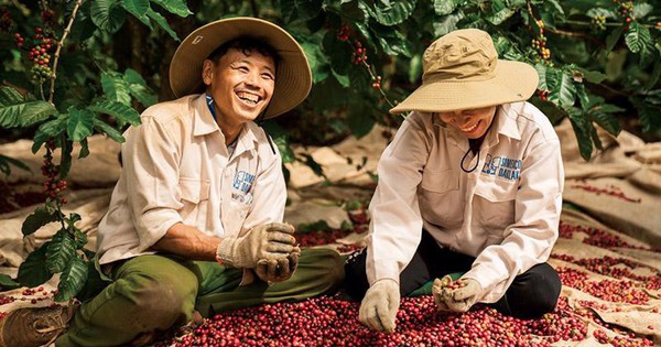 Một nông sản tỷ USD của Việt Nam được người dân nước láng giềng dùng hàng ngày, giá tăng vọt vẫn đặt mua hơn 8.000 tấn