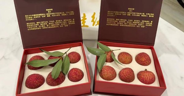 Có gì trong quả vải thiều giá lên tới gần 2 tỷ đồng, người có tiền cũng chưa chắc mua được?