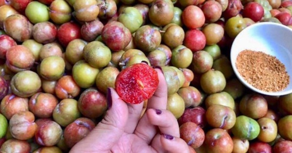 2 loại trái cây trùng tên nhưng số phận khác nhau, giá cả chênh lệch thấy rõ: Nhiều người đi chợ vẫn nhầm!