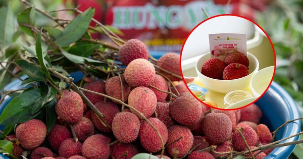 Vải trứng Hưng Yên được mang bán trên trời!