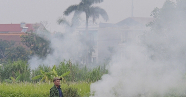 Dân đốt rơm, khói trắng trời Hà Nội, hun người đi đường