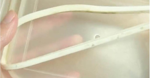 Dùng hộp nhựa, hộp thủy tinh đựng thực phẩm, khi rửa đừng quên bộ phận này: Nhiều người dùng giờ mới biết