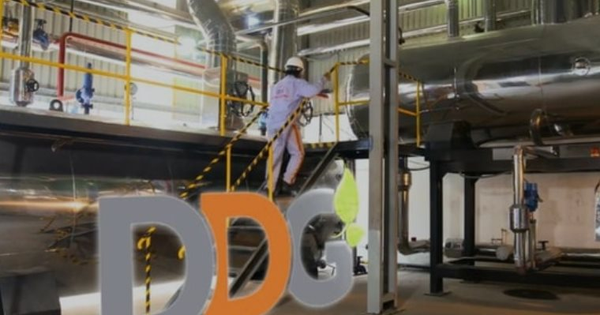 Xuất nhập khẩu Đông Dương (DDG) bị xử phạt nặng vì thông tin sai lệch, không đầy đủ, “ém” thông tin