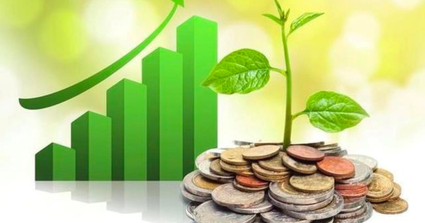 Lịch chốt quyền cổ tức 23/6-27/6: Cổ tức tiền mặt cao nhất 32%, Hòa Phát, VNDirect, Đạm Cà Mau,... đồng loạt "lăn chốt"