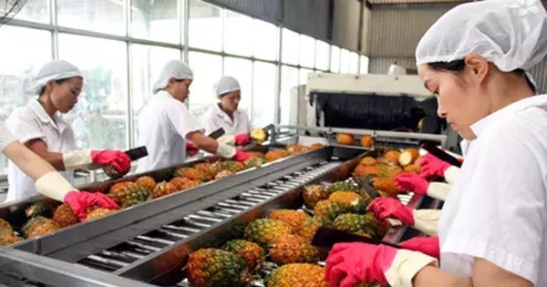 Vì sao Việt Nam tăng nhập khẩu nông sản?
