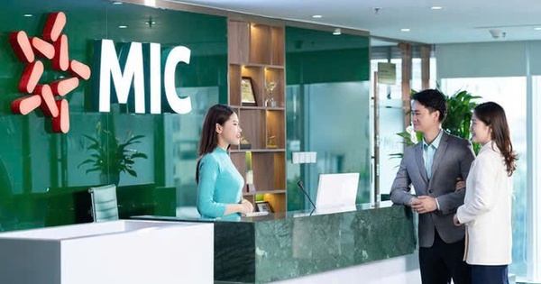 MIC sắp trả cổ tức năm 2024 với tỷ lệ 10%