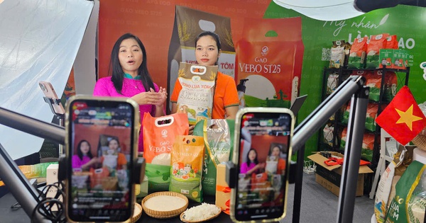 Bán hàng trên sàn online nộp thuế thế nào từ ngày 1-7?