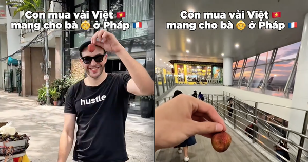 Khách Tây mang quả vải "to nhất Việt Nam" sang Pháp và cái kết rớt nước mắt