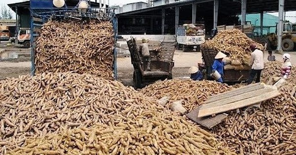Hàng chục nghìn tấn hàng ùn ứ ở cửa khẩu: Bộ trưởng Thái Lan vừa nhấn mạnh điều gì?