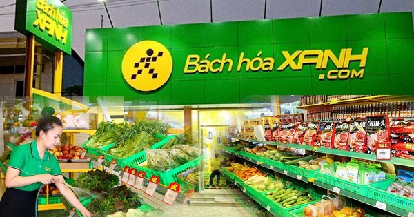 Bách Hóa Xanh mở mới hơn 400 cửa hàng từ đầu năm, quy mô hệ thống lập kỷ lục