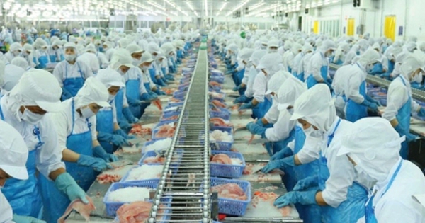 Xuất khẩu thủy sản tăng mạnh, VASEP vẫn lo thuế đối ứng