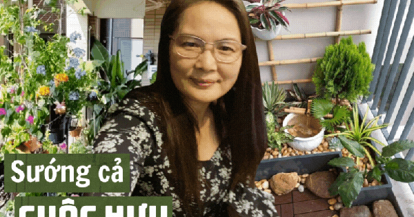 Về hưu mới thấy mình thiếu chuẩn bị, 5 điều tôi ước gì đã làm sớm hơn 10 năm