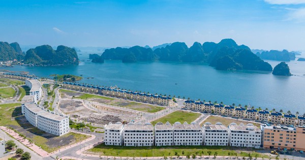 Đất nền Quảng Ninh trở lại mạnh mẽ với sản phẩm mặt biển Vịnh Di Sản