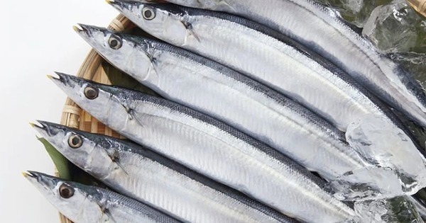 "Vua omega-3" là loại cá bình dân bán đầy chợ Việt, cá hồi ngậm ngùi hạng 2