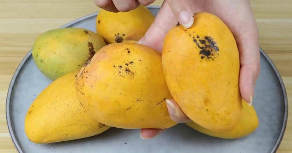 Mua xoài cứ dùng 5 mẹo này: Bách phát bách trúng, quả nào cũng ngọt như mía lùi