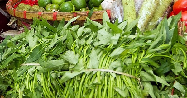 Loại rau rẻ tiền nhưng tốt ngang nhân sâm, chợ bán 5.000 đồng/mớ, không ăn là phí của trời