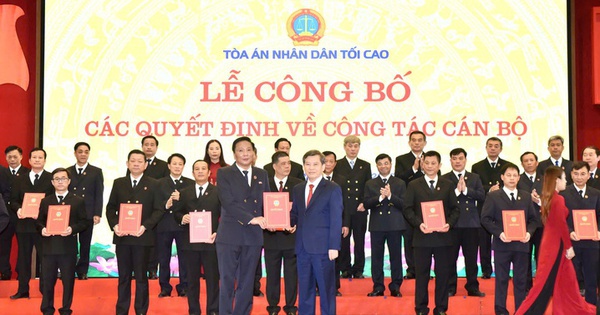 Bổ nhiệm 29 Chánh tòa và Chánh án các tỉnh thành mới tại tòa án Nhân dân tối cao