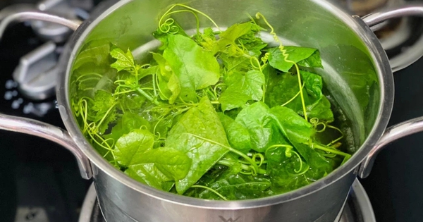 Loại rau mọc bờ rào nay "lên đời" thành đặc sản, vừa ngon bổ vừa dễ trồng tại nhà