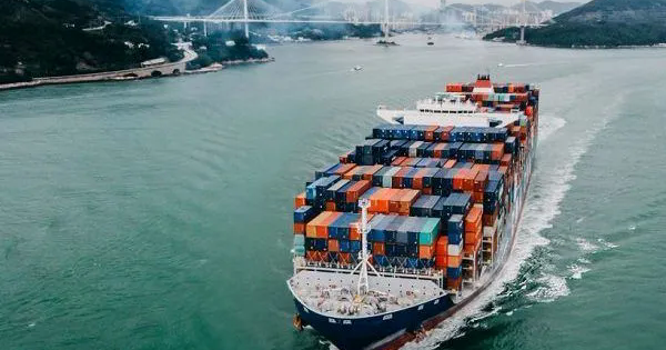 Từ cà phê đến công nghệ cao: Xuất khẩu Việt Nam vẽ đường đi giữa "mây mù" kinh tế