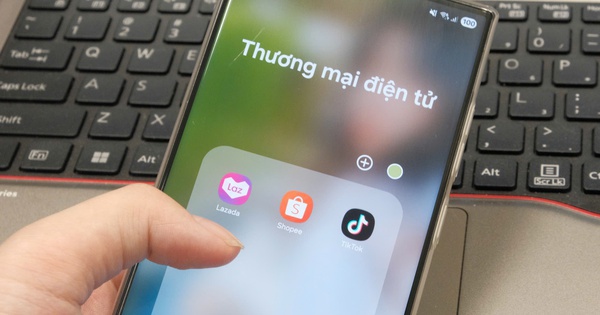 Bất ngờ với mức chi tiêu tỷ USD cho mua sắm online của người Việt