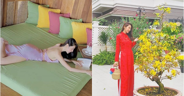 Nữ nghệ sĩ sở hữu biệt thự hơn 30 tỷ ở Quận 7, 40 tuổi gợi cảm, ở ẩn vì thị phi, xuất hiện là dậy sóng
