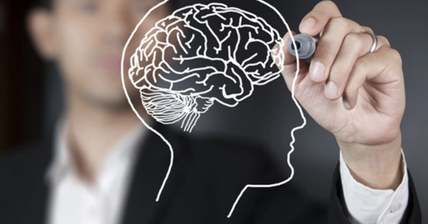 Nghiên cứu: 4 CÁCH nhanh nhất để phát triển não bộ, giúp IQ tăng vun vút, trở nên nhạy bén hơn