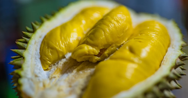 Không phải Thái Lan hay Việt Nam, trái cây vua của một quốc gia đang lên như diều gặp gió: Sắp xuất khẩu hàng tươi sang Trung Quốc, châu Âu cũng đang mạnh tay săn lùng