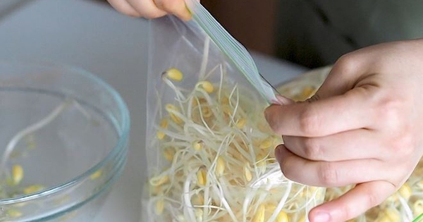 3 kiểu bảo quản giá đỗ tiện thì có tiện nhưng cực nhanh hỏng, mất dinh dưỡng còn “rước” bệnh vào nhà