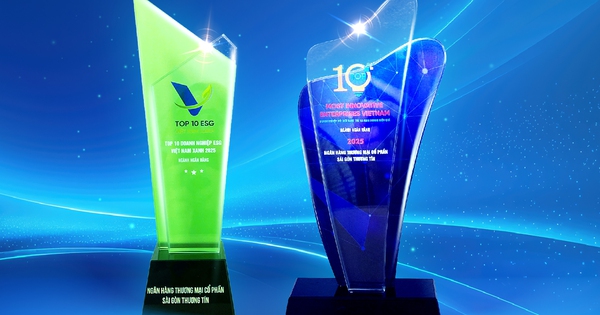 Sacombank đạt 2 giải thưởng VIE 10 và ESG 10 – Khẳng định mục tiêu kinh doanh hiệu quả và phát triển bền vững