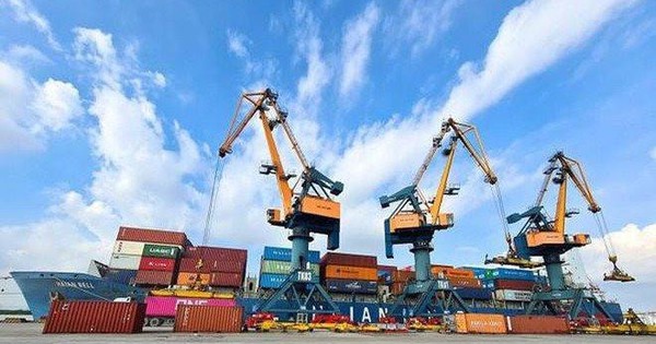 Hải An (HAH) chốt trả cổ tức 40%, sản lượng khai thác quý 2 tăng trên 20%