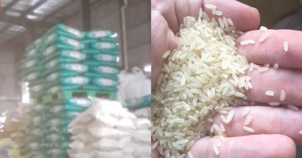 Đột kích nhà máy trong đêm, phanh phui công ty sản xuất gạo giả bán 1.000 tấn mỗi năm, tịch thu