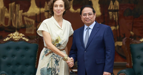 Tổng Giám đốc UNESCO: Sẵn sàng cùng Việt Nam chia sẻ tầm nhìn chiến lược về văn hóa ra thế giới