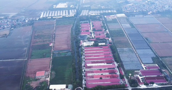 Dabaco được chấp thuận đầu tư dự án Cụm công nghiệp Lạc Vệ tại Bắc Ninh