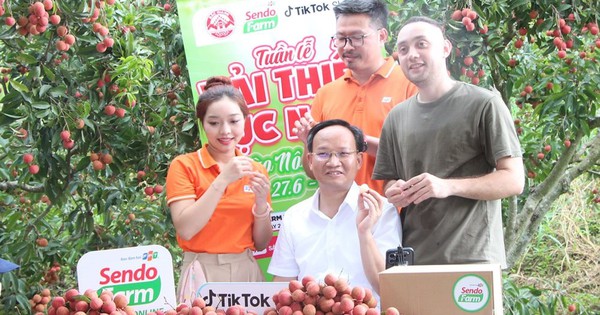 Phó Chủ tịch tỉnh Bắc Giang cũng xuống vườn livestream bán vải: Chốt đơn hàng chục tấn chỉ trong một buổi sáng