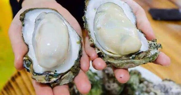 Khi mua hàu, đừng mua 3 loại hàu này: Chủ cửa hàng hải sản không bao giờ để người nhà ăn