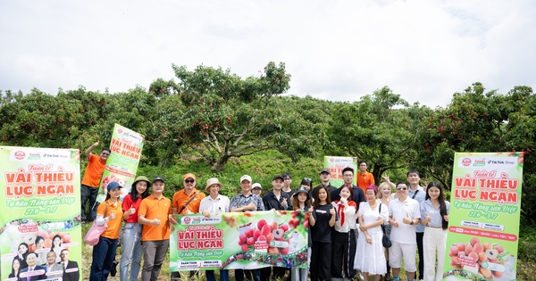 54 tấn vải Lục Ngạn bán hết veo sau phiên live 6 tiếng, PCT Bắc Giang nêu rõ 3 từ "đạt chuẩn sang Mỹ"