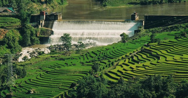 Giới trẻ đổ về Y Tý tránh nóng, săn mây trắng giữa đại ngàn Tây Bắc