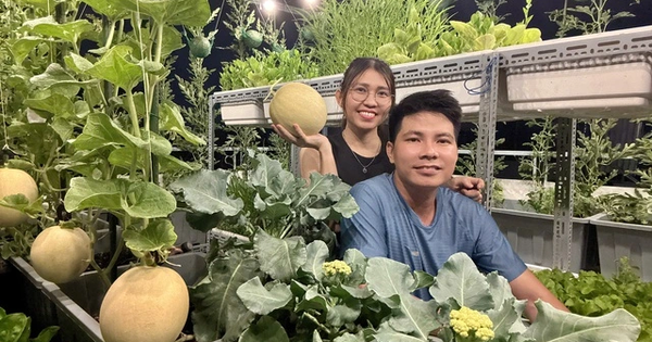 Từ tay mơ đến bà chủ vườn chỉ sau 2 tháng: Mẹ trẻ bật mí 4 kinh nghiệm trồng rau sân thượng trĩu quả khiến ai cũng bất ngờ vì “quá dễ”