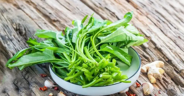 Loại rau giải nhiệt mùa hè là "thuốc làm sạch đường ruột", giúp hạ đường huyết, tốt đủ đường: Chợ Việt bán vừa nhiều vừa rẻ