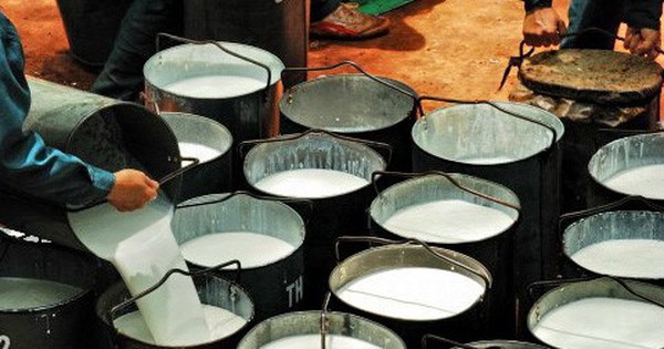 Hàng nghìn tấn 'vàng trắng' của Việt Nam đổ bộ Mỹ với giá đắt đỏ: thuế nhập khẩu 7%, Việt Nam là ông trùm top 3 thế giới