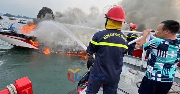 Cháy tàu cao tốc tuyến Vân Đồn - Quan Lạn, 5 thuyền viên nhảy xuống biển