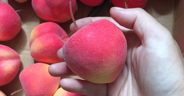 Mùa hè có 1 loại quả giàu nước vị ngọt mát, ăn đều giúp giữ dáng và ổn định đường huyết