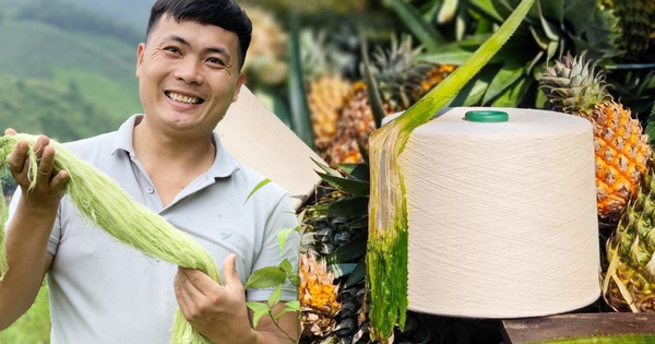 DN thu tiền khủng từ 1 loại lá: TQ không có nguyên liệu để làm, VN có hàng triệu tấn, phần lớn bị đốt bỏ