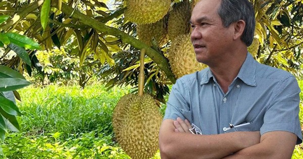 Giá sầu riêng thấp kỷ lục, nhớ lại lời bầu Đức: Ngay cả khi bán sầu riêng với giá 20.000 đồng/kg vẫn có lãi